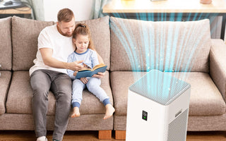 THE BENEFIT OF AN AIR PURIFIER