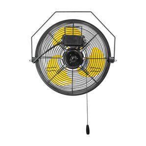 12 in. 3-Speeds Wall Fan with IP44 Enclosure Motor - Bansa Rose